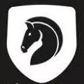 月亮视频大全免费观看_logo