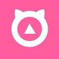 知音直播app