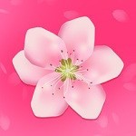 糟老头旧版本手机版在线下载